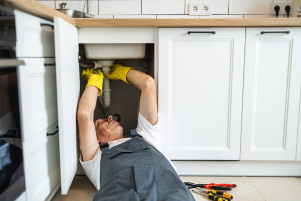 Best Clogged Drain Plumber  in Bellingham, WA